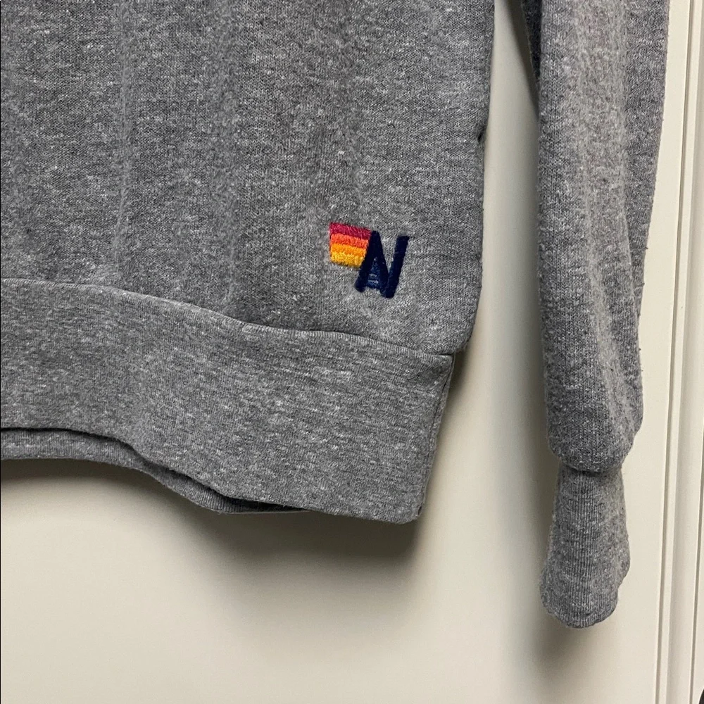 Aviator Nation Gray and Blue Crewneck Sweater - Picture 2 of 6